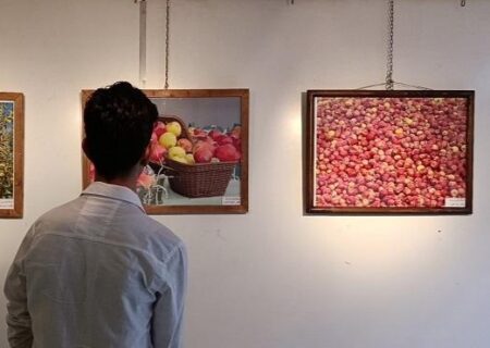 برپایی نمایشگاه عکس و نقاشی سیب در مراغه