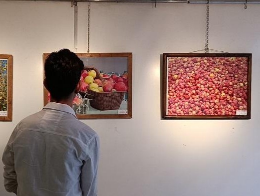 برپایی نمایشگاه عکس و نقاشی سیب در مراغه