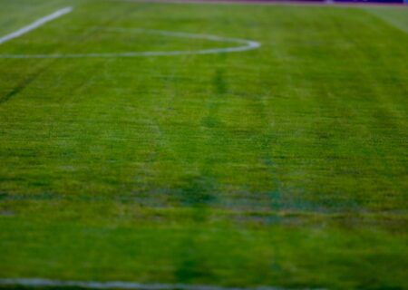 از پیمانکار دیپلمه تا رفسنجان گیت!