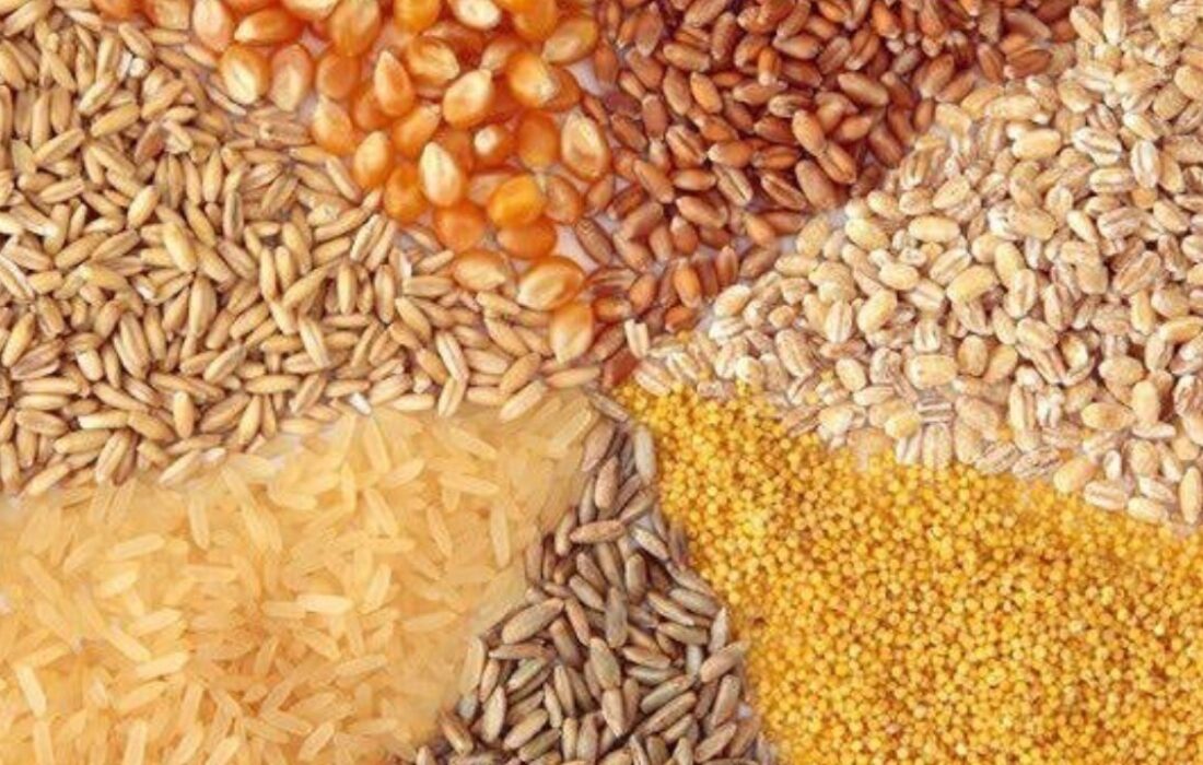 کشف انبار نهاده دامی به ارزش ۸۵۰ میلیارد ریال در عجبشیر