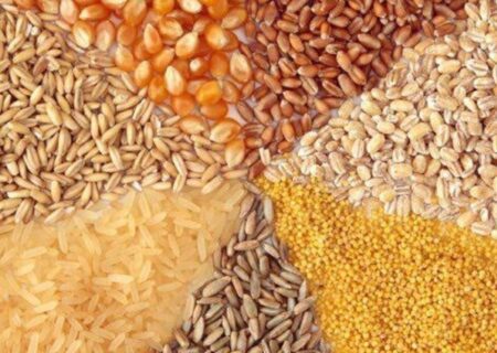 کشف انبار نهاده دامی به ارزش ۸۵۰ میلیارد ریال در عجب‌شیر