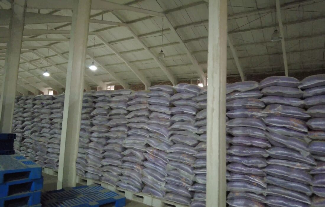 توزیع ۲۶۰۰ تن برنج تنظیم بازاری در استان