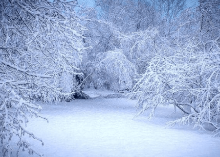 هشدار کاهش ۱۵ درجه‌ای دما در استان