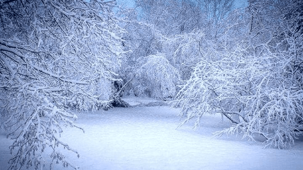 هشدار کاهش ۱۵ درجه‌ای دما در استان