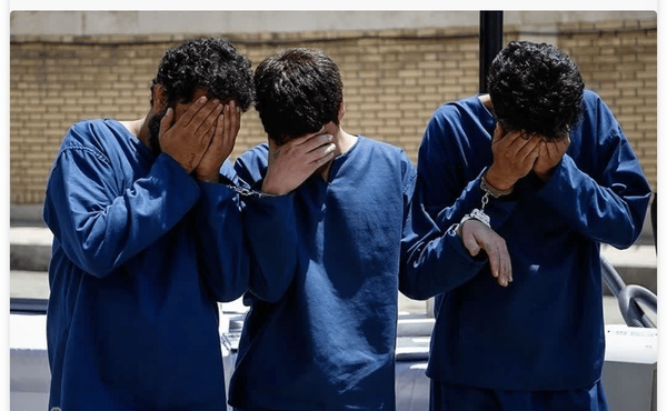 کشف بیش از ۵ تن چوب قاچاق در تبریز