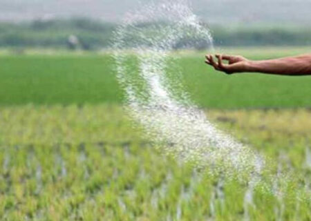 افزایش توزیع کود پتاس یارانه دار در استان