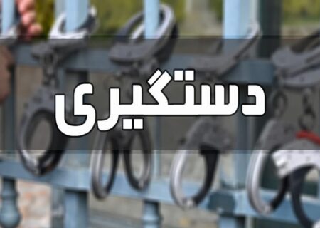 دستگیری سه گروه شکارچی متخلف در ملکان