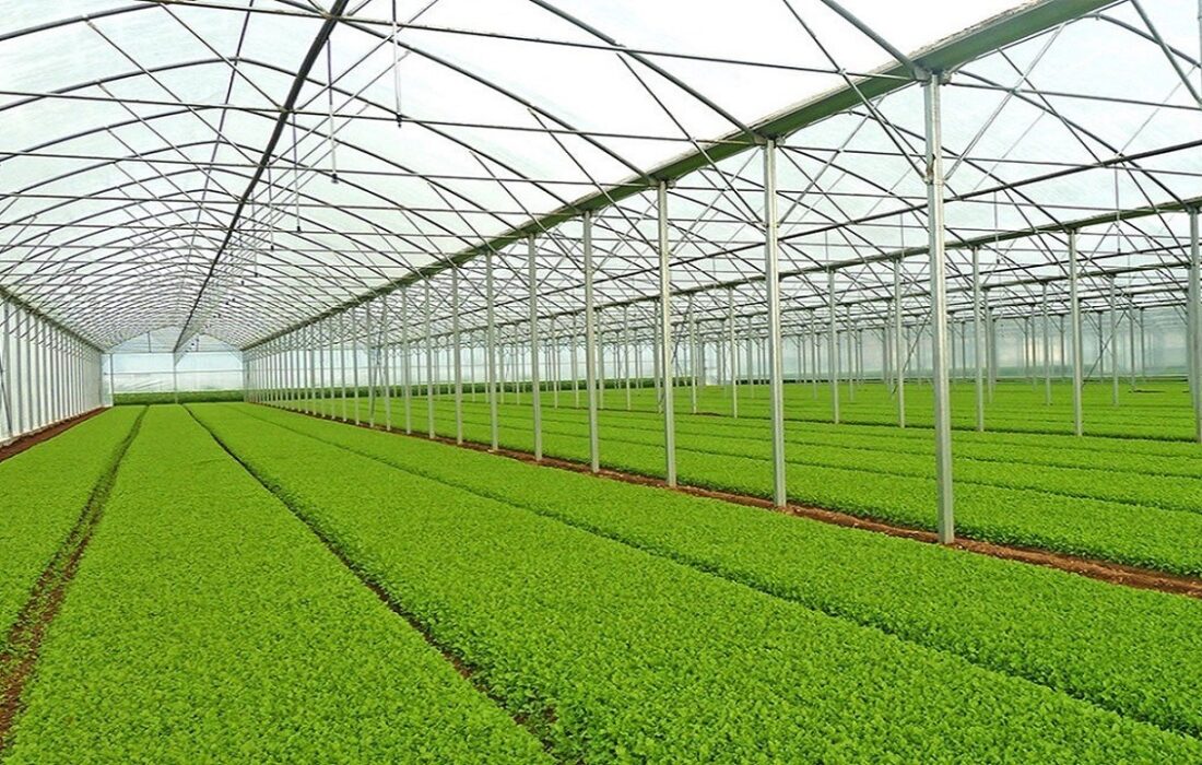 پیشرفت ۷۰ درصدی نخستین گلخانه فناور محور مراغه