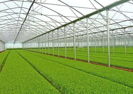 پیشرفت ۷۰ درصدی نخستین گلخانه فناور محور مراغه