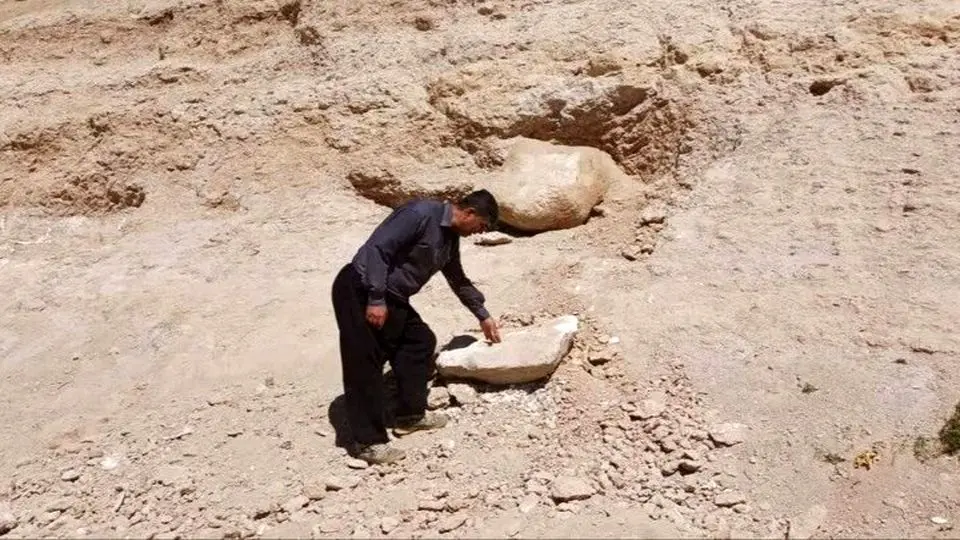 شناسایی سایت فسیلی جدید در مراغه