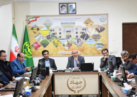 مرغداران نگرانی بابت تامین نهاده‌ها نداشته باشند