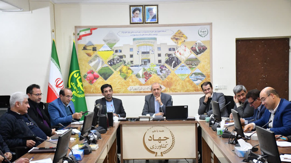 مرغداران نگرانی بابت تامین نهاده‌ها نداشته باشند