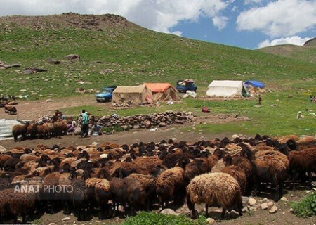 عشایر آذربایجان‌شرقی و تولید ۳۸ هزار تن محصول